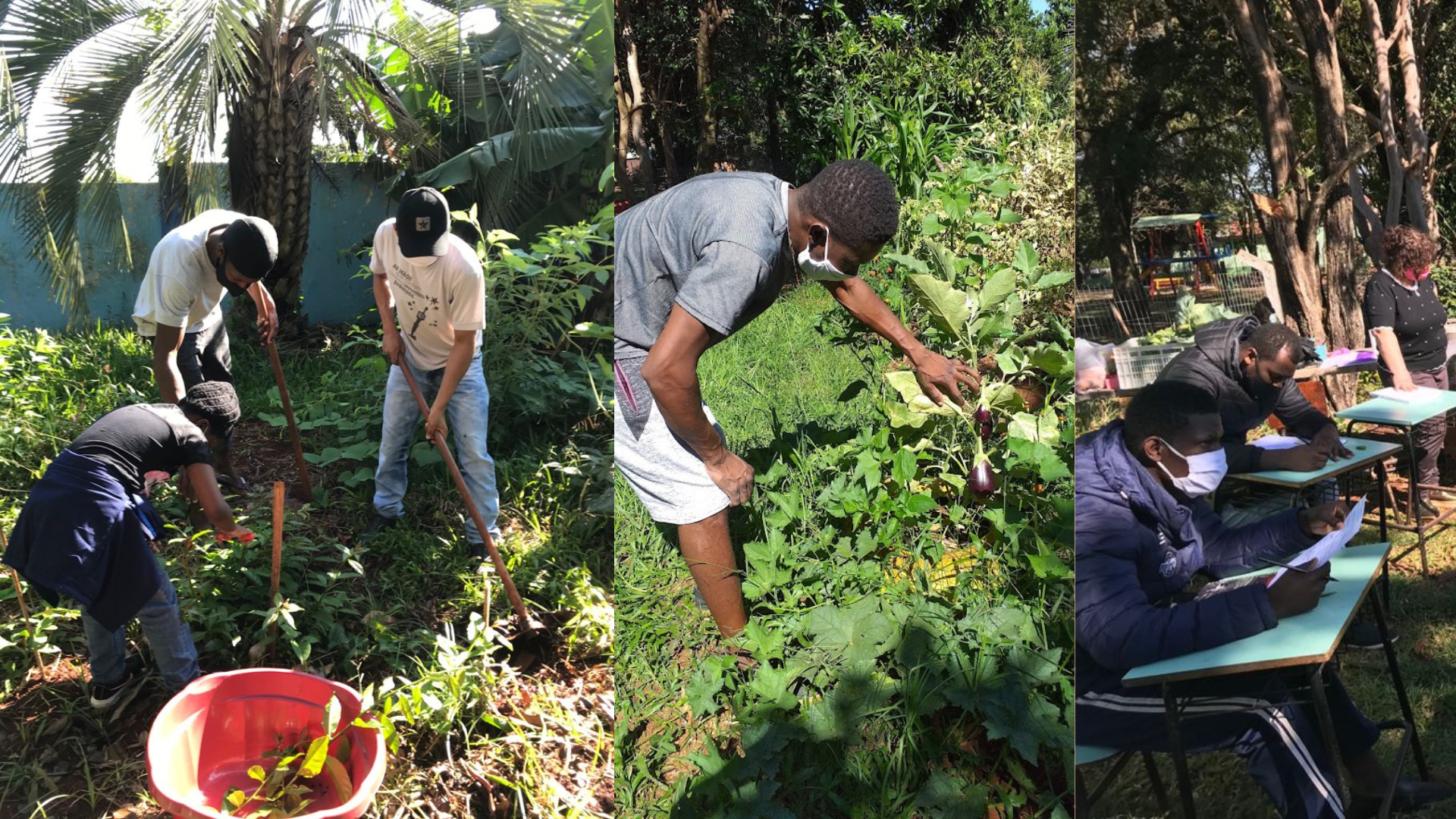Community garden initiative