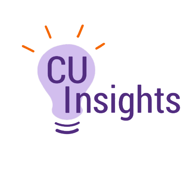 Consumer insights analysis